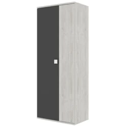 Kledingkast Bo0 Met 2 Legplanken, Kledingroede En Vierkante Deurgreep - Grenen/antraciet