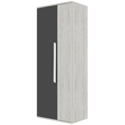 Kledingkast Bo0 Met 2 Legplanken, Kledingroede En Langwerpige Deurgreep - Grenen/antraciet